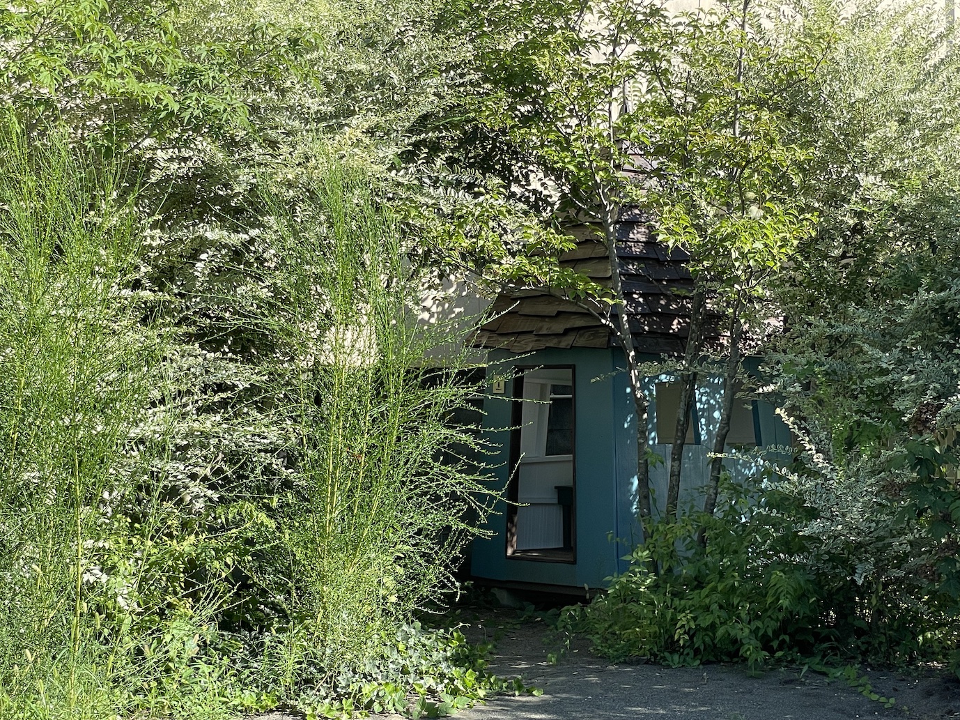 水色の小屋